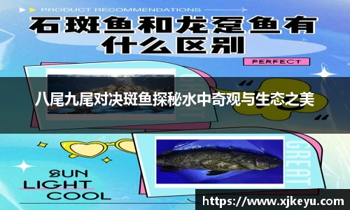 八尾九尾对决斑鱼探秘水中奇观与生态之美